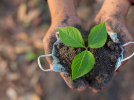 Elleva Ambiental | Engenharia e Energia